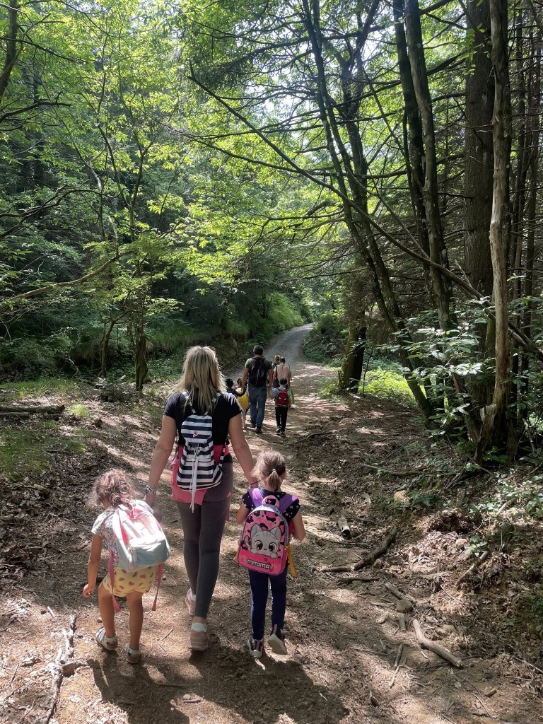 immagine agricoltura sociale